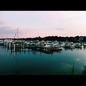 Meet your Posher, Ainsley